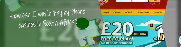 Free bingo no deposit 2019 in South Africa
